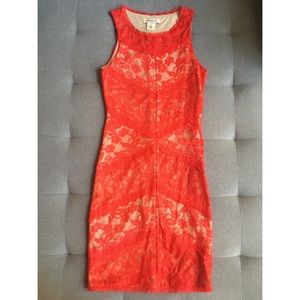 Slim Fitted Dress